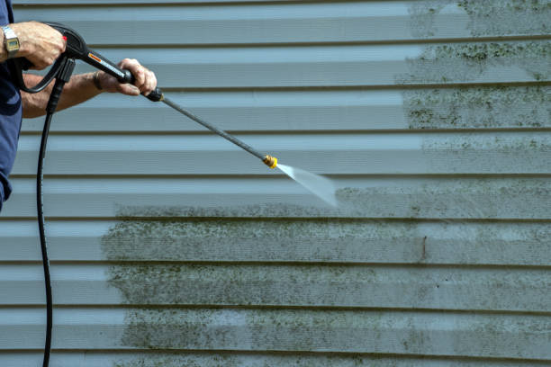 Best Driveway Pressure Washing  in Pecan Grove, TX