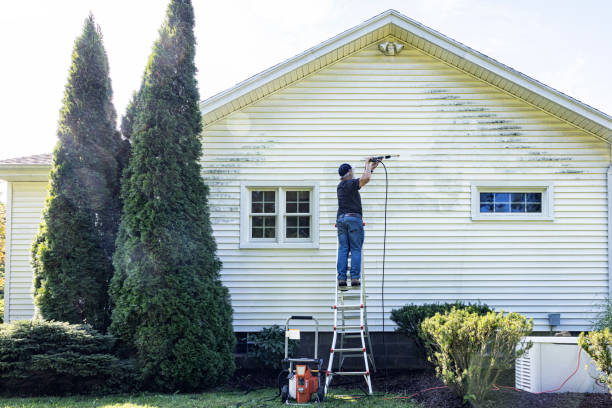 Best Gutter Cleaning  in Pecan Grove, TX